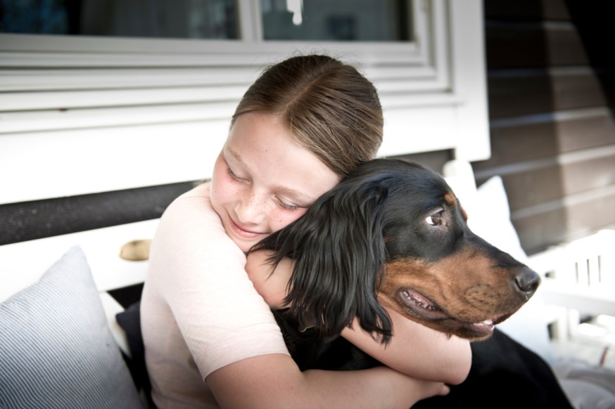 jente klemmer hund
